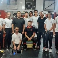 وینگ چون شهرک ولیعصر