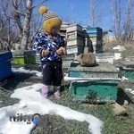 اداره کل دامپزشکی استان اردبیل