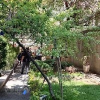 مرکز مشاوره مامایی و زایمان آسان نیلو معظمی