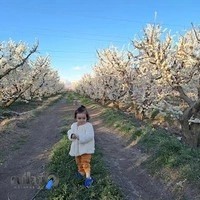 سفره خانه هشت بهشت