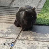 کافه صبحانه و ساندویچ بوبکی