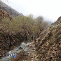 کافه ناندانه