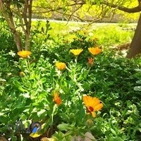 اداره اماکن عمومی تهران