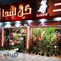 گل لیندا