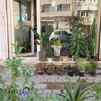 گل و گیاه ونوس