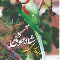 فروشگاه شاه طوطی