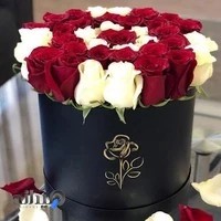 دارالترجمه رسمی آقای ترجمه