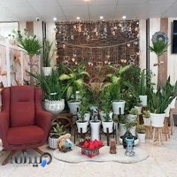 دفتر ازدواج شکوهی