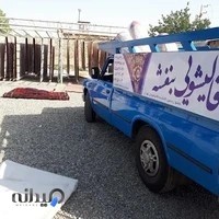 قالیشویی بنفشه