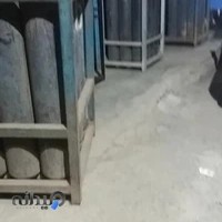 شارژ کپسول اکسیژن سلیمانی