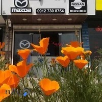 فروشگاه پرشین یدک