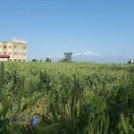 هتل شورابیل