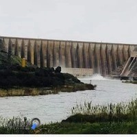 شرکت صنایع غذایی ایران