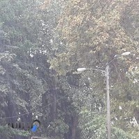 آرت کافی‌شاپ