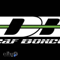 نمایندگی دزدگیر ماجیکار کره