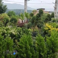 مجتمع گل و گیاه وشکو