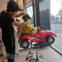 آرایشگاه آقای آس