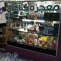 عطاری معجزه گیاهان