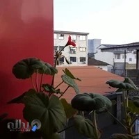 انتشارات یانا