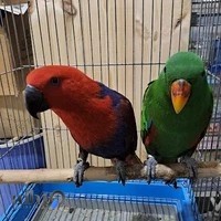 آکواریوم قصر آبی