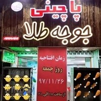 پاچینی جوجه طلا