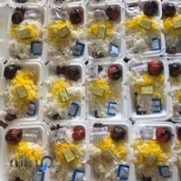 کبابی پذیرا