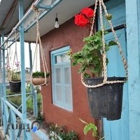 شهر گل صادقی