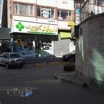 دکتر سید شنوا چشم پزشک