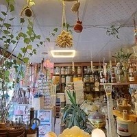 عطاری روحانی(سید محمد)