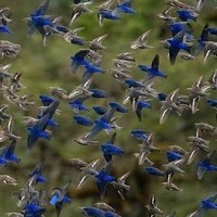 خشکشوئی مهدیه اکسپرس