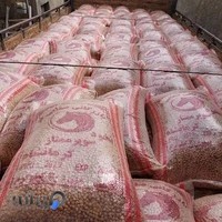 شرکت بازرگانی حبوبات حبونای