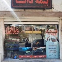 بیمه دانا انصاری