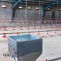 دفتر شرکت تعاونی کشاورزی مرغداران گوشتی قم و حومه