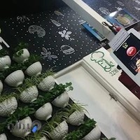 فست فود عالیتا