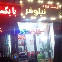 فست فود نیلوفر