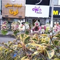 گل فروشی دانژه