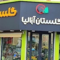 گلفروشی آزالیا تنکابن