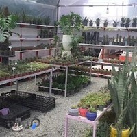 شهرکاکتوس و گلهای آپارتمانی