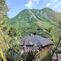 اقامتگاه چوبین