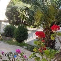 آکادمی زبان های خارجی سپید(ابن سینا)