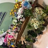 سالن زیبایی ایکیسا