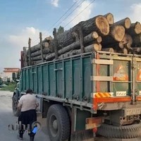 بازرگانی چوب دِلفان