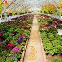 فروشگاه گل سوگند