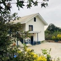 بوم گردی بهار نارنج