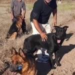 صافکاری محمد عبدی