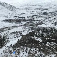 دکوراسیون داخلی سپیدار