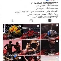 باشگاه فوتبال مرغی