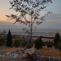 مرکز مشاور توحید