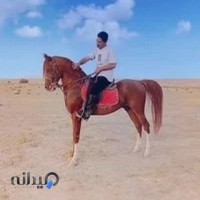 باشگاه سوارکاری نیاوران