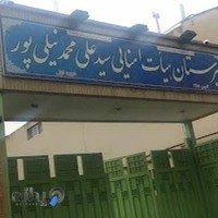 دبیرستان هیات امنایی سید علی محمد نیلی‌پور